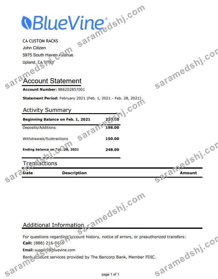 USA California BlueVine bank statement easy to fill template in .xls and .pdf file format